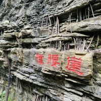 評論圖片 8
