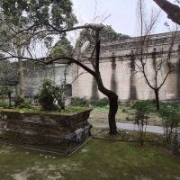 評論圖片 8