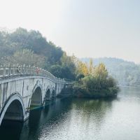 評論圖片 1