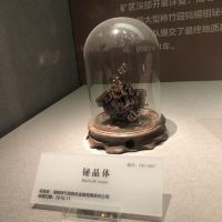 評論圖片 7