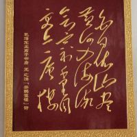 評論圖片 8