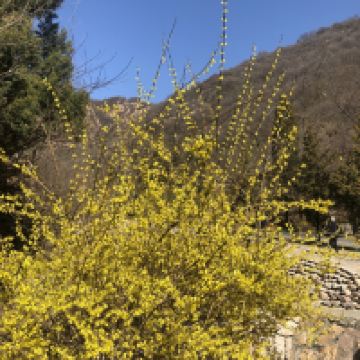 評論圖片 5