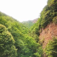 評論圖片 3