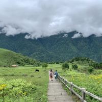 評論圖片 1