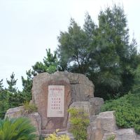 評論圖片 6