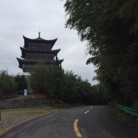 評論圖片 1