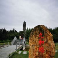 評論圖片 9