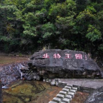 評論圖片 3