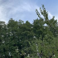 評論圖片 2