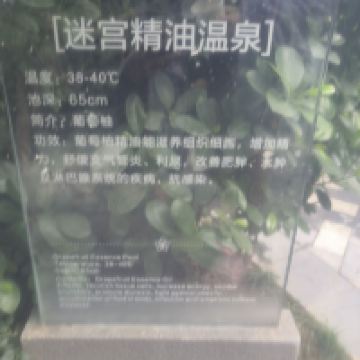 評論圖片 3
