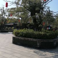 評論圖片 3
