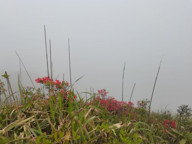 Xinxing Tianlushan Resort