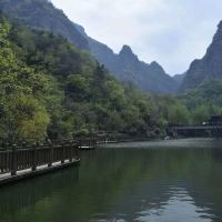 評論圖片 5