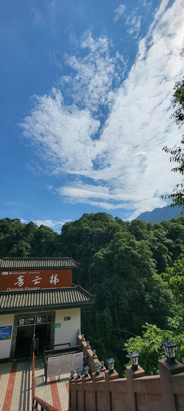 Bifengxia Giant Panda Base
