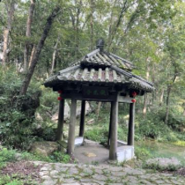 評論圖片 5