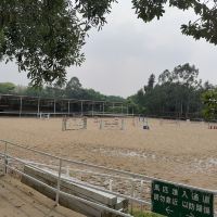 評論圖片 4