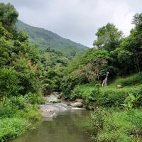 評論圖片 5