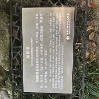 評論圖片 6