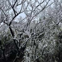 評論圖片 8