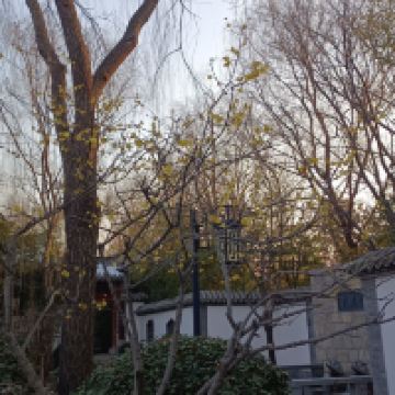 評論圖片 4