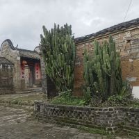 評論圖片 1