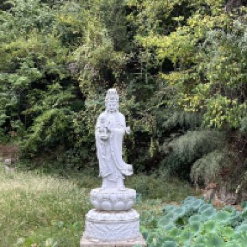 評論圖片 1