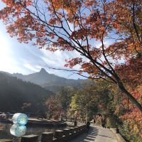 評論圖片 1