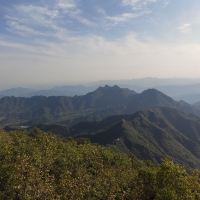 評論圖片 5