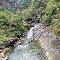 評論圖片 1