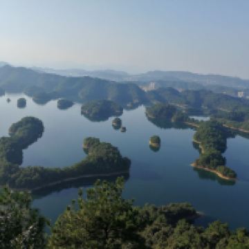 評論圖片 4