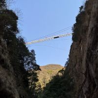 評論圖片 1