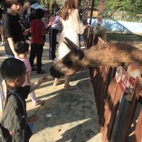 評論圖片 7