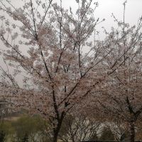 評論圖片 7