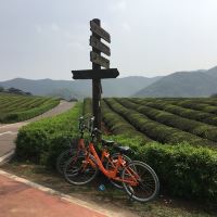 評論圖片 2