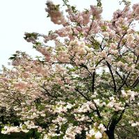 評論圖片 5