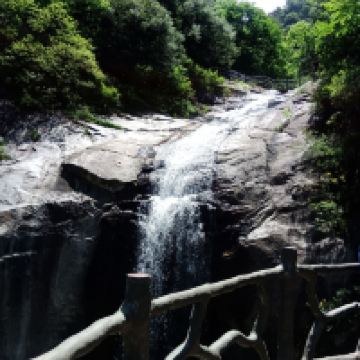 評論圖片 8