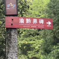 評論圖片 4