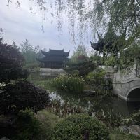 評論圖片 5