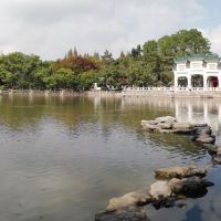 評論圖片 1