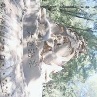 評論圖片 5