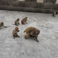 評論圖片 7
