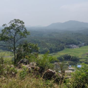 評論圖片 9