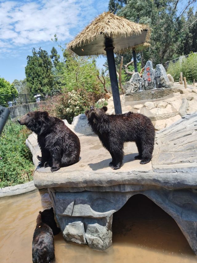 雲南野生動物園