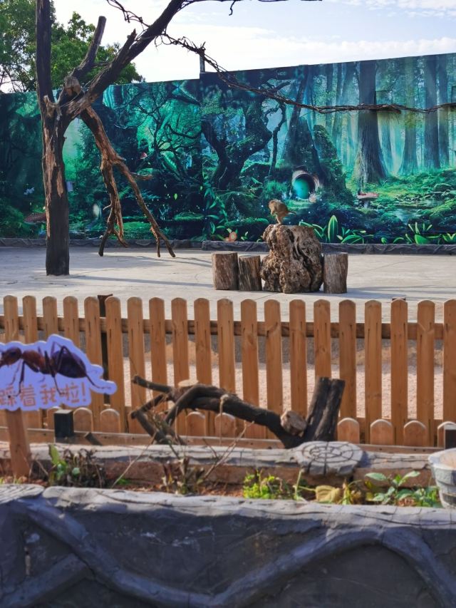 雲南野生動物園