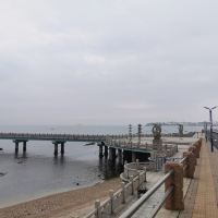 評論圖片 7