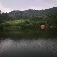 評論圖片 4