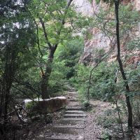 評論圖片 9