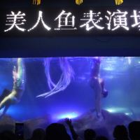 評論圖片 1