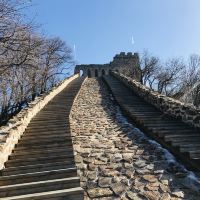 評論圖片 7