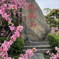 評論圖片 2